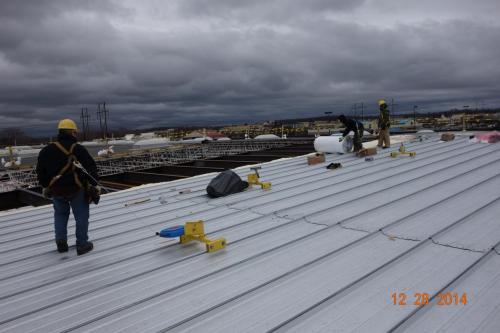 Rolling-out-Roof-Insulation